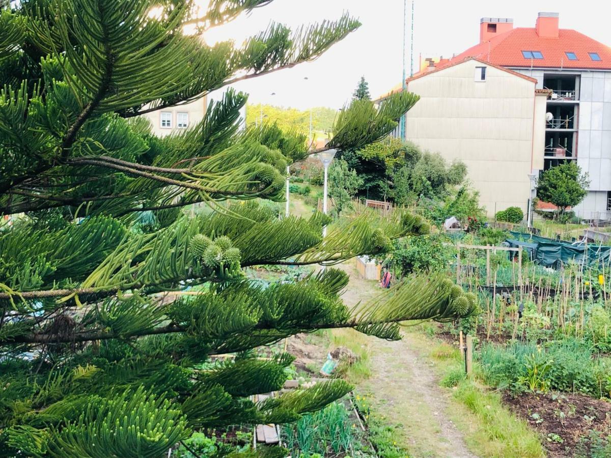 Albergue Sixtos No Caminho سانتياغو دي كومبوستيلا المظهر الخارجي الصورة